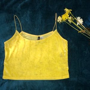 H&M Crop Top